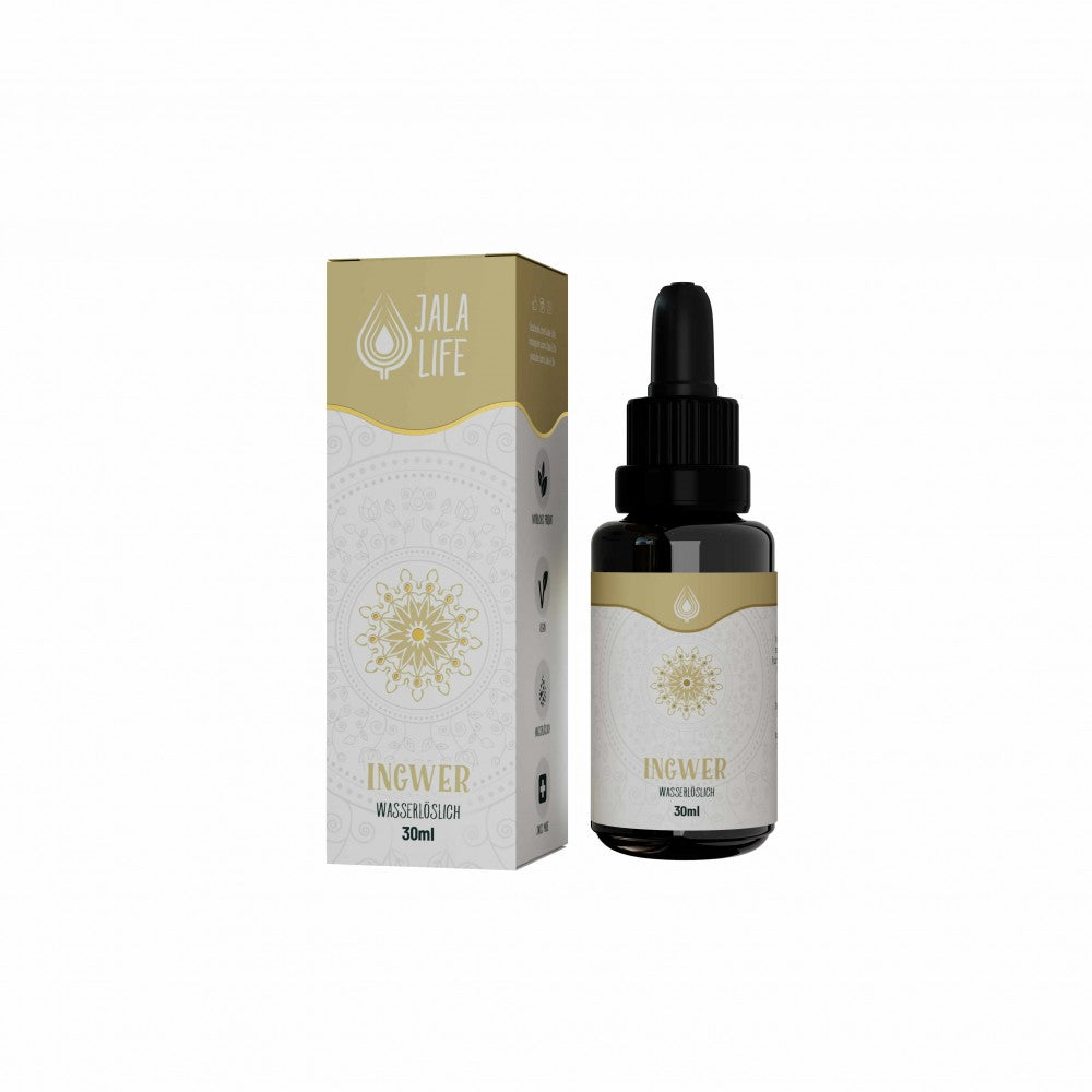 π± Plant Extracts GINGER 30ml